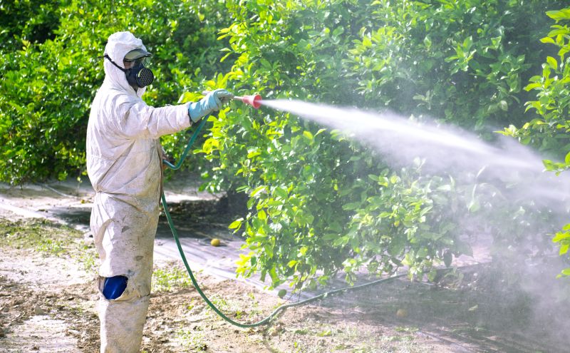 Fumigation Service in Myrtle Beach, SC