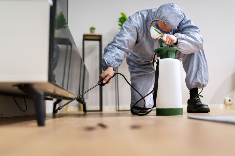Roach Fumigation in Santa Fe, NM