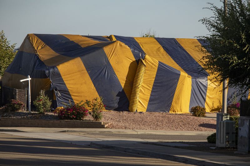 Termite Tenting in Wilmington, NC