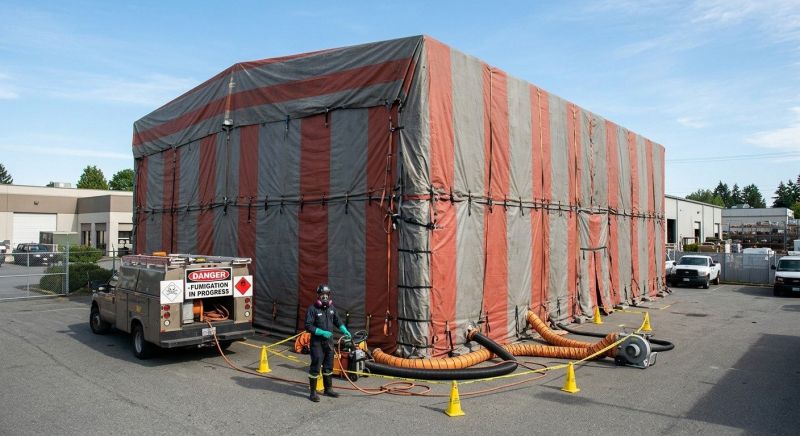 Commercial Fumigation in Katy, TX