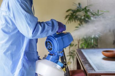 Fumigation Service in Columbus, OH