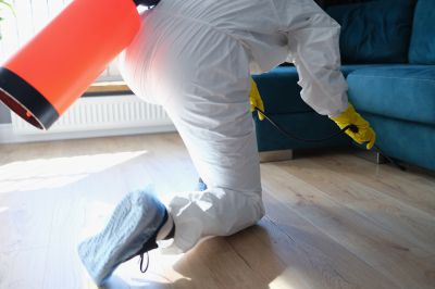 Fumigation Service in Fayetteville, NC