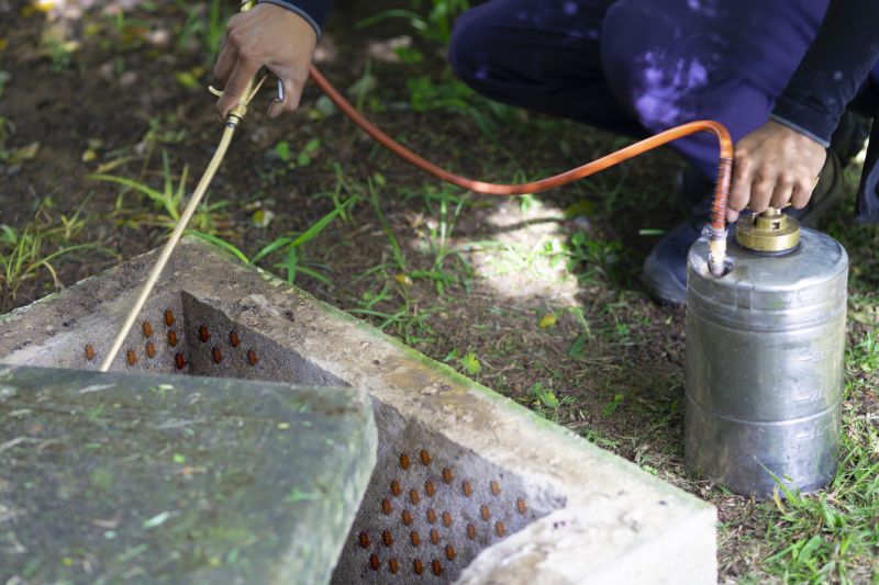 Pest Fumigation Service in Fredericksburg, VA