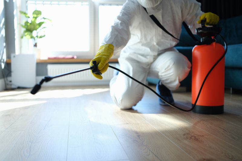 Pest Treatment Service in Katy, TX
