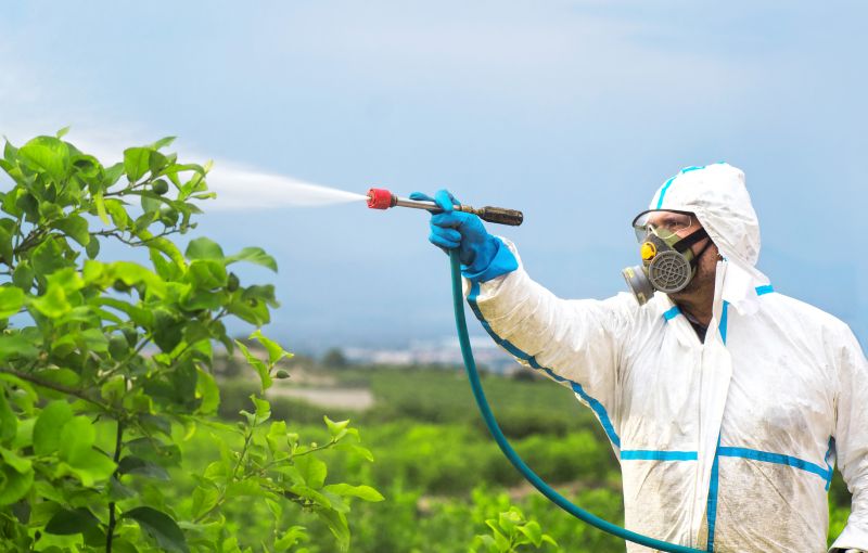 Roach Fumigation in Coeur D Alene, ID