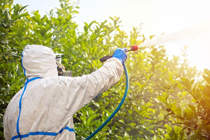 Spider Fumigation Service in Madison, WI