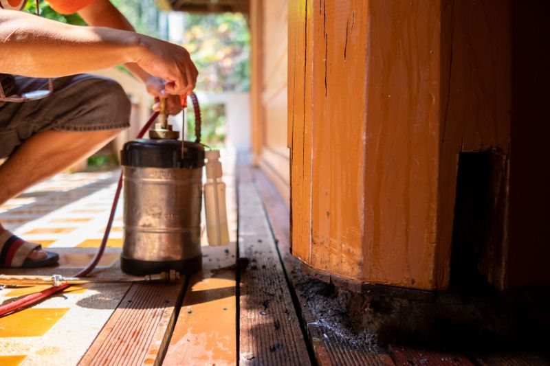 Termite Fumigation in Frisco, TX