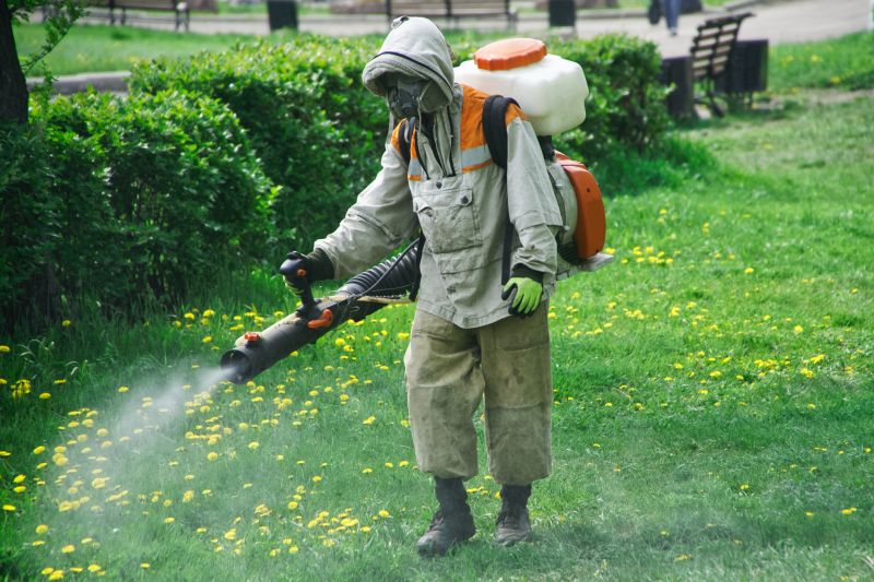 Yard Insect Treatment in Frisco, TX