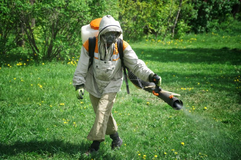 Yellow Jacket Extermination
